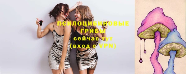 стаф Долгопрудный