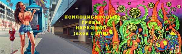 ПСИЛОЦИБИНОВЫЕ ГРИБЫ Горно-Алтайск